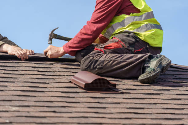Best Residential Roofing Contractor  in Daisetta, TX