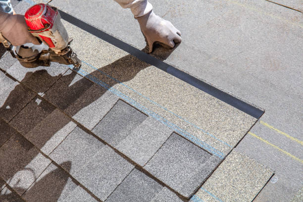 Best Shingle Roofing Installation  in Daisetta, TX