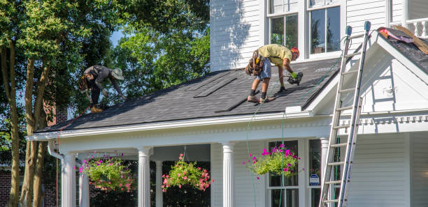 Best Gutter Installation and Roofing  in Daisetta, TX