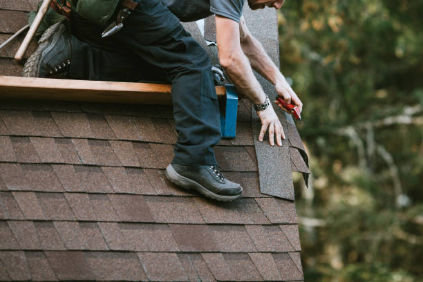 Best Roof Repair Services  in Daisetta, TX